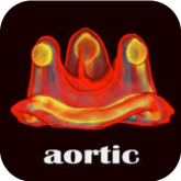 Valve-in-Valve-Aortic